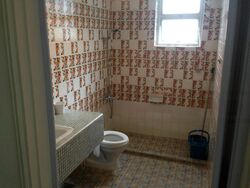 Equatorial Apartments (D15), Apartment #463194151